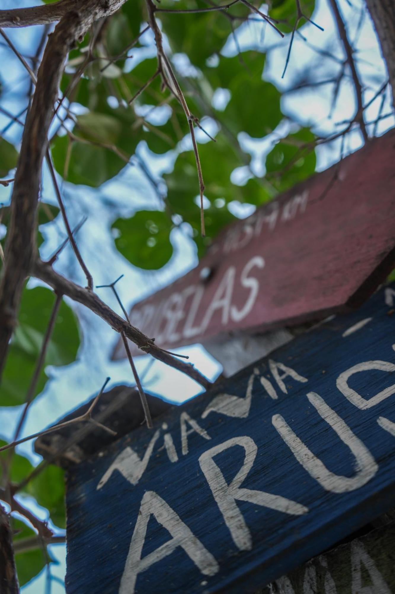 בואנוס איירס Viavia Bsas Guesthouse 324 מראה חיצוני תמונה