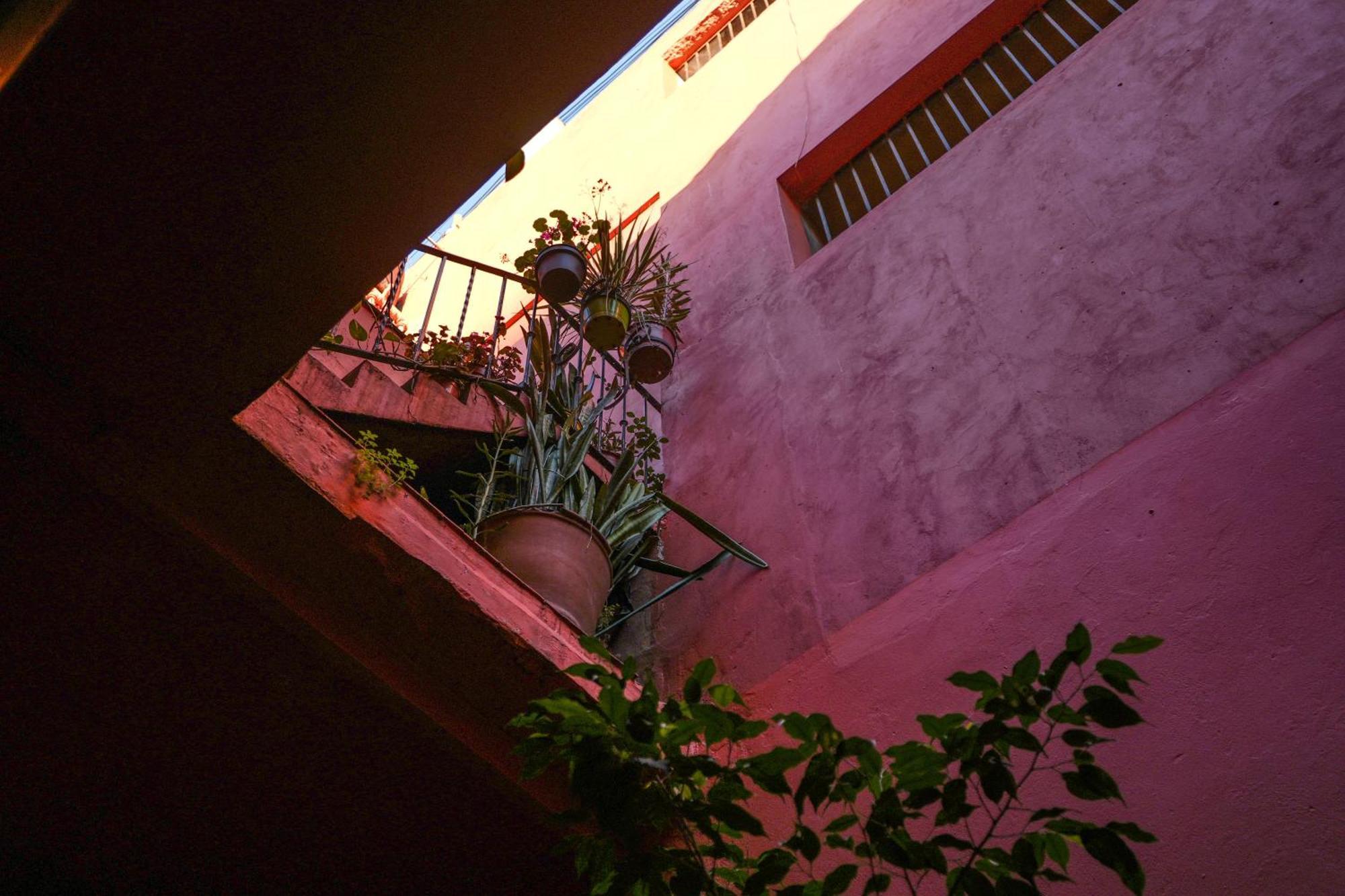 בואנוס איירס Viavia Bsas Guesthouse 324 מראה חיצוני תמונה